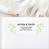 Gipskraut Botanische Rücksendeadresse (Insitu)