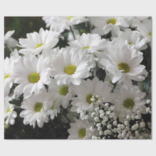 Gipskraut & Daisies Geschenkpapier (Flach)