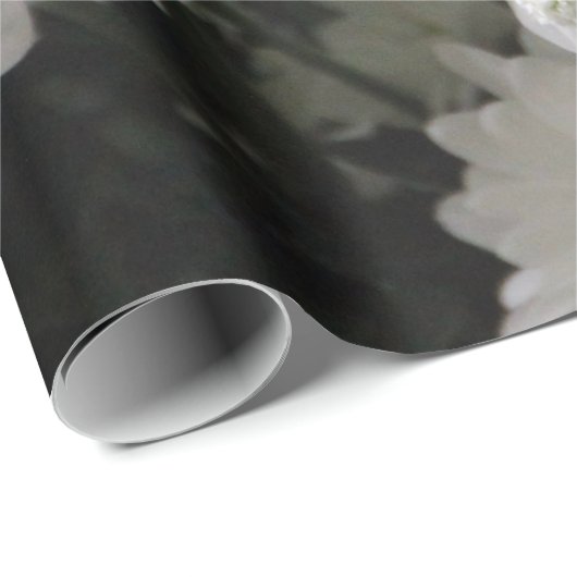 Gipskraut & Daisies Geschenkpapier (Rolleneckpunkt)