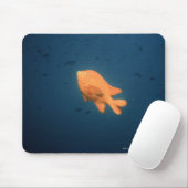 Girabaldi Mousepad (Mit Mouse)