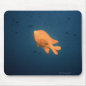 Girabaldi Mousepad (Vorne)