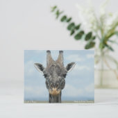 Girafe in Kenia Postkarte (Stehend Vorderseite)