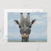 Girafe in Kenia Postkarte (Vorne/Hinten)