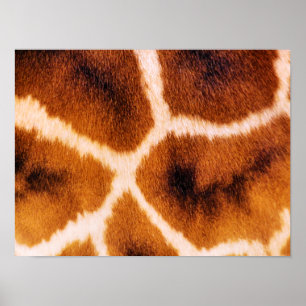 GIRAFEN POSTER
