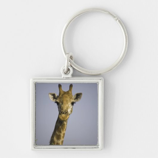 Giraffa Camelopardalis Schlüsselanhänger (Vorne)