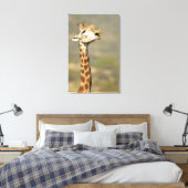 Giraffa (Giraffa camelopardalis) Leinwanddruck (Insitu (Schlafzimmer))
