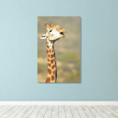 Giraffa (Giraffa camelopardalis) Leinwanddruck (Insitu (Holzboden))
