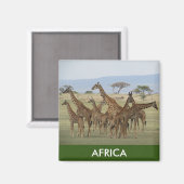 giraffafrica magnet (Vorderseite/Rückseite)