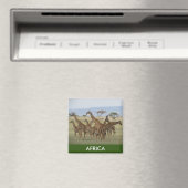 giraffafrica magnet (In Situ (Geschirrspüler))