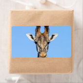 Giraffe (Insitu)