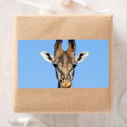 Giraffe (Insitu)