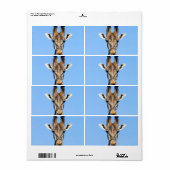 Giraffe (Vorne)