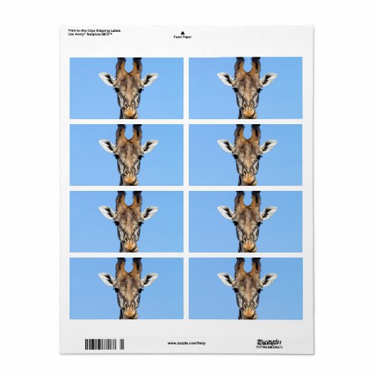 Giraffe (Vorne)