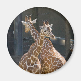 Giraffe2 Magnet