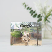 Giraffe # 12 postkarte (Stehend Vorderseite)
