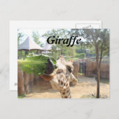 Giraffe # 12 postkarte (Vorne/Hinten)