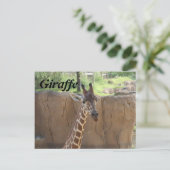 Giraffe # 15 postkarte (Stehend Vorderseite)