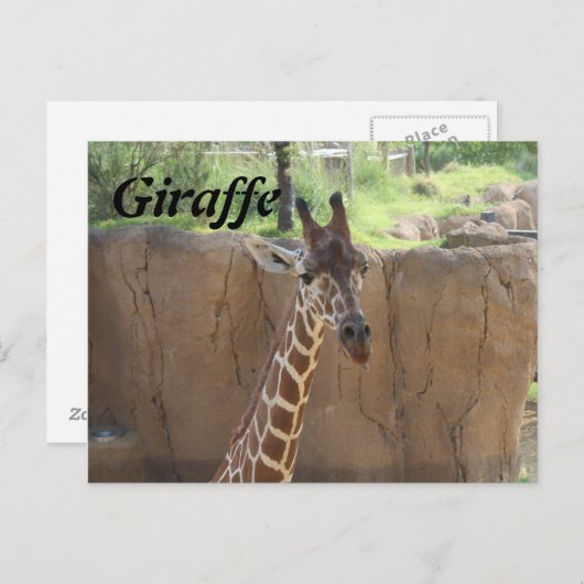 Giraffe # 15 postkarte (Vorne/Hinten)