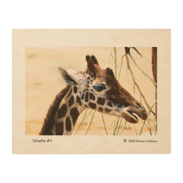 Giraffe #1 holzdruck