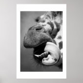 Giraffe#1 Poster (Vorne)