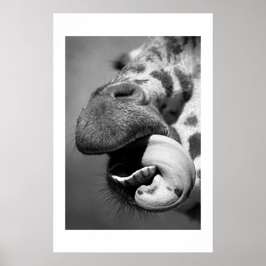 Giraffe#1 Poster (Vorne)