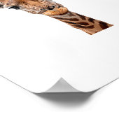 Giraffe _1 poster (Ecke)
