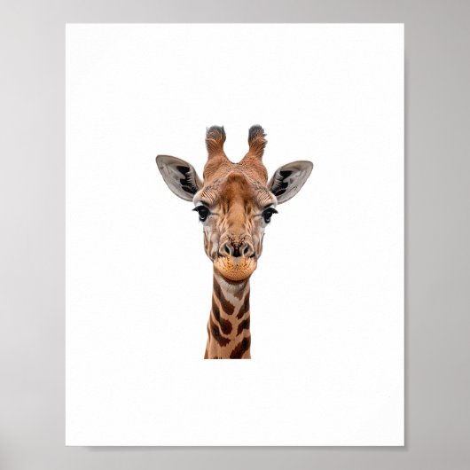 Giraffe _1 poster (Vorne)