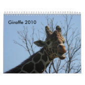 Giraffe 2010 kalender (Titelbild)