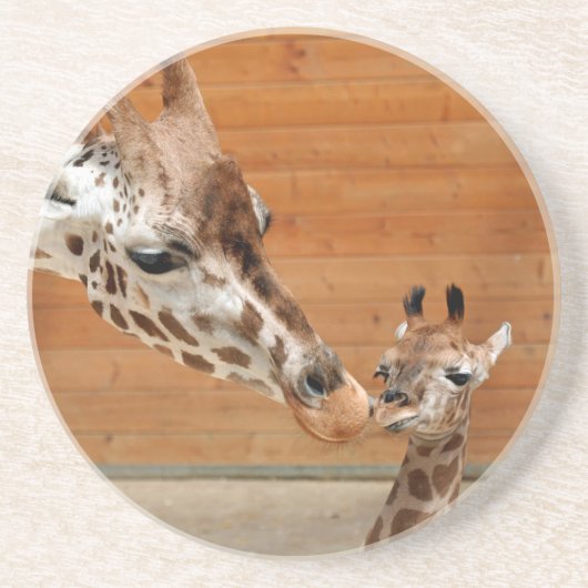 Giraffe_20151101_by_JAMFoto Sandstein Untersetzer (Vorne)