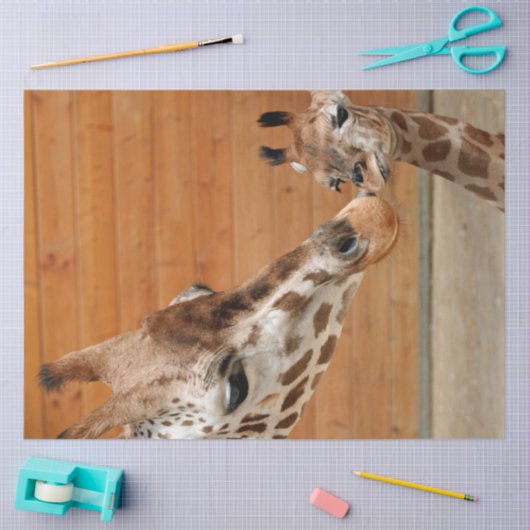 Giraffe_20151101_by_JAMFoto Seidenpapier (Basteln)