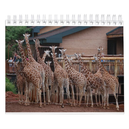 Giraffe 2022 5,5" x 7" Kalender (Titelbild)