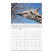 Giraffe 2022 5,5" x 7" Kalender (Jan 2027)