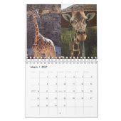 Giraffe 2022 5,5" x 7" Kalender (Mär 2027)