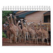 Giraffe 2022 5,5" x 7" Kalender (Titelbild)