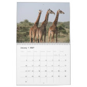 Giraffe 2025 kalender (Jan 2027)