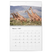 Giraffe 2025 kalender (Feb 2027)