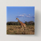 Giraffe 2 button (Vorderseite)