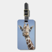 Giraffe 2 gepäckanhänger (Vorderseite vertikal)