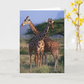 Giraffe 2 karte (Gelbe Blume)