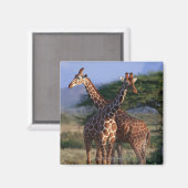 Giraffe 2 magnet (Vorderseite/Rückseite)