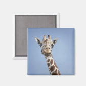 Giraffe 2 magnet (Vorderseite/Rückseite)