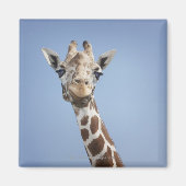 Giraffe 2 magnet (Vorne)
