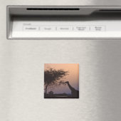 Giraffe 2 magnet (In Situ (Geschirrspüler))