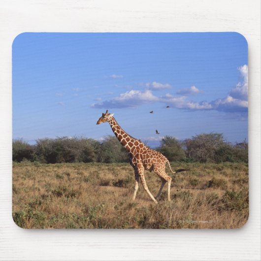 Giraffe 2 mousepad (Vorne)