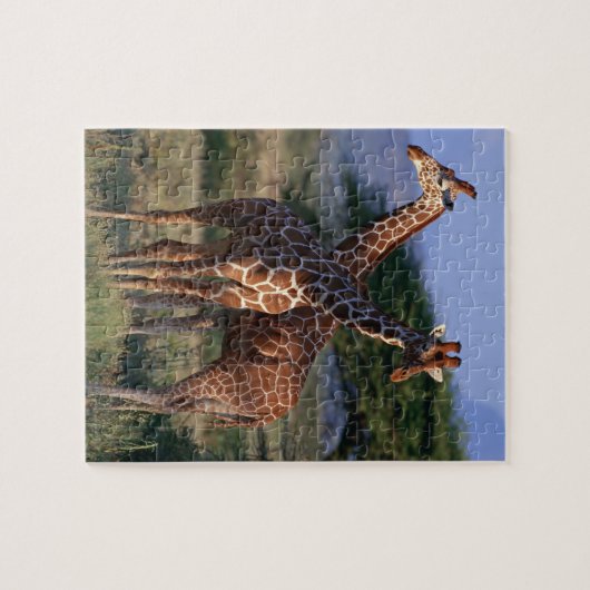 Giraffe 2 puzzle (Horizontal)