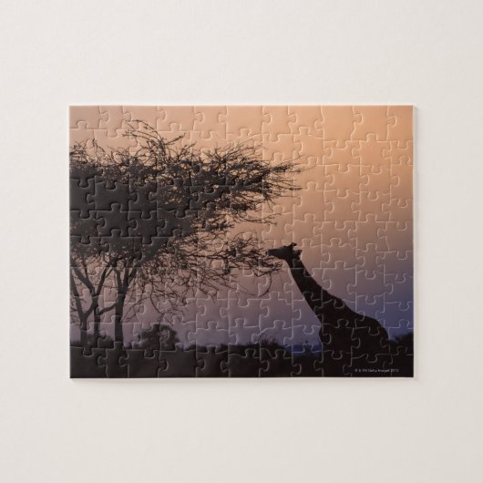 Giraffe 2 puzzle (Horizontal)