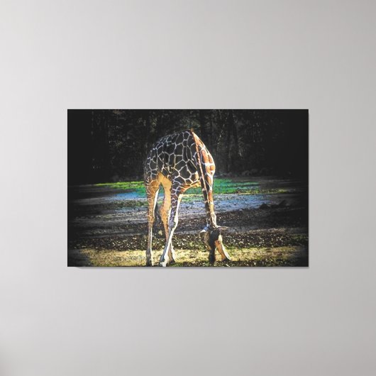 Giraffe 2Design Leinwanddruck (Vorderseite)