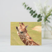 Giraffe #3 postkarte (Stehend Vorderseite)