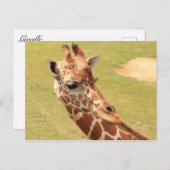 Giraffe #3 postkarte (Vorne/Hinten)