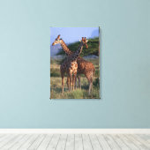 Giraffe 4 leinwanddruck (Insitu (Holzboden))